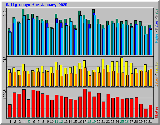 Daily usage for January 2025