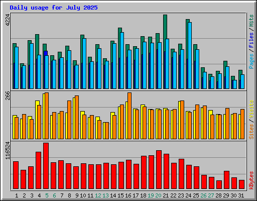 Daily usage for July 2025
