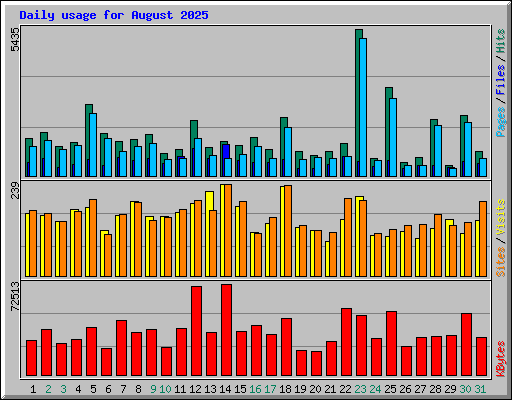Daily usage for August 2025