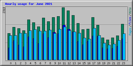 Hourly usage for June 2021