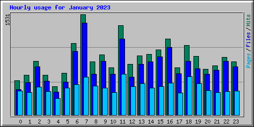 Hourly usage for January 2023