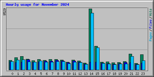 Hourly usage for November 2024