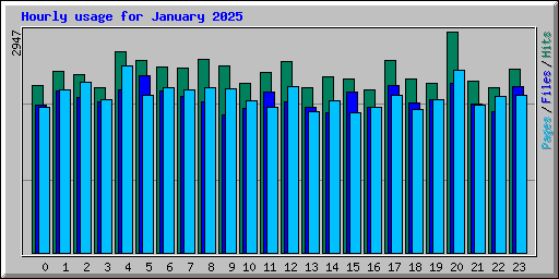 Hourly usage for January 2025