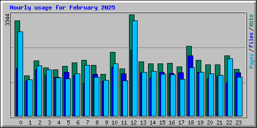 Hourly usage for February 2025