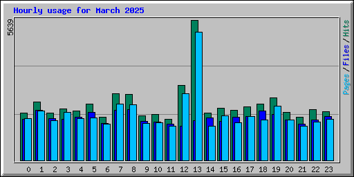 Hourly usage for March 2025