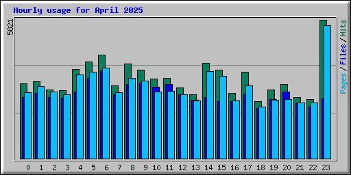 Hourly usage for April 2025