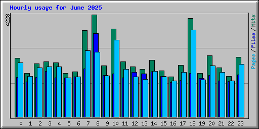 Hourly usage for June 2025