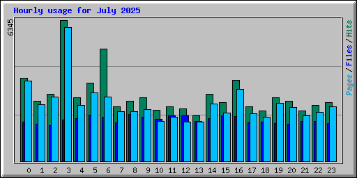 Hourly usage for July 2025