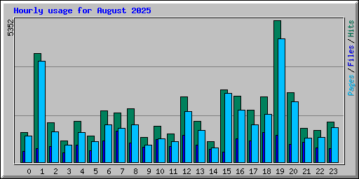 Hourly usage for August 2025