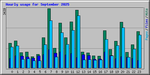 Hourly usage for September 2025