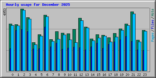 Hourly usage for December 2025