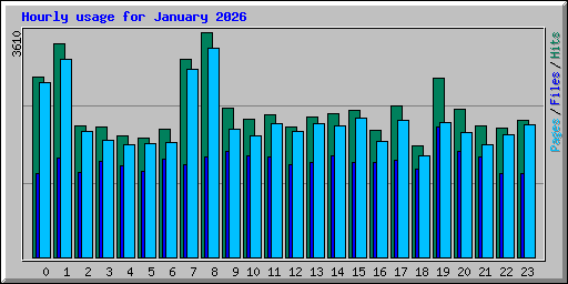 Hourly usage for January 2026