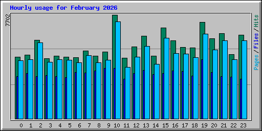 Hourly usage for February 2026