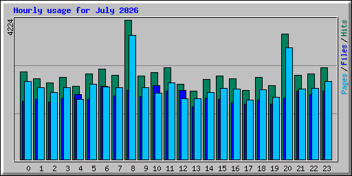 Hourly usage for July 2026
